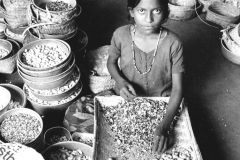 Indien: Kinderarbeit mit Cashewkernen (c) Ernst Herb