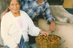 Kaffeeernte in Guatemala: Der Mais füllt den Magen,  Kaffeeverkauf ermöglicht Schulbildung (c) Ernst Herb